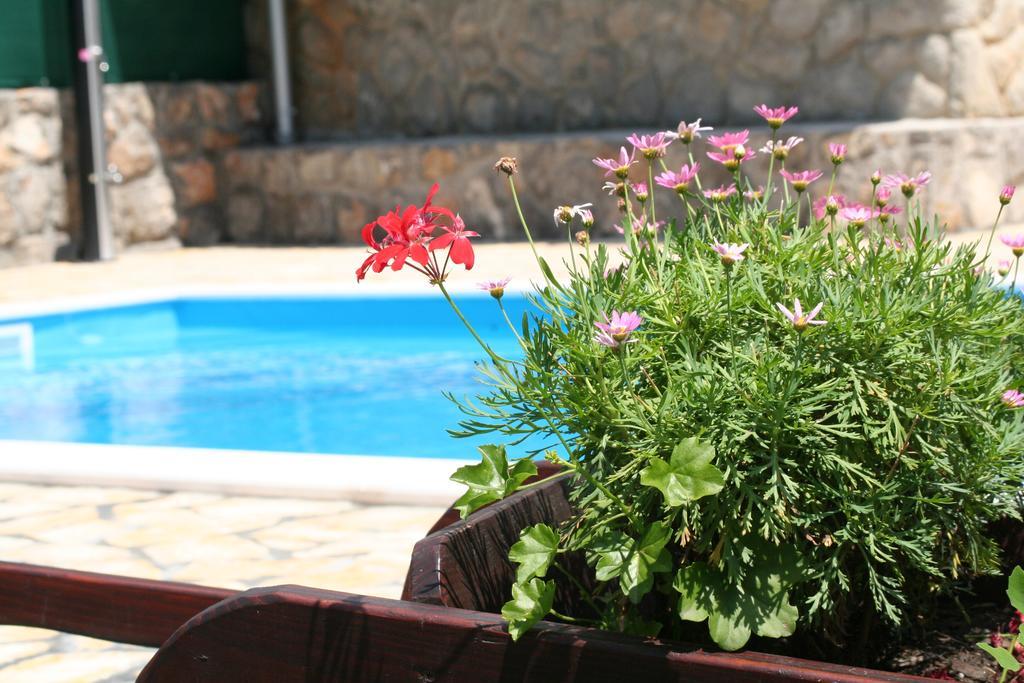 Apartments Petricic With Swimming Pool Ičići Buitenkant foto